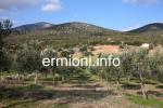 GL 0176 - Kabayianna Land - Fourni - Ermionida